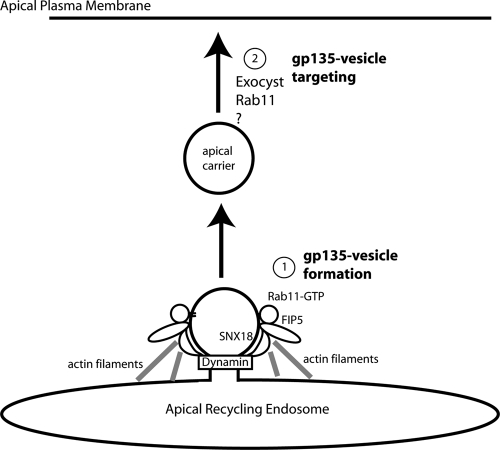 Figure 9.