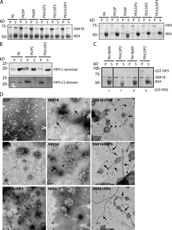 Figure 7.