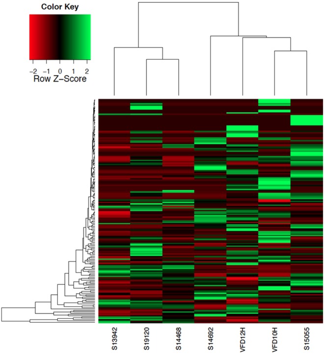 Figure 6