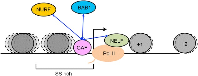 Fig. 7