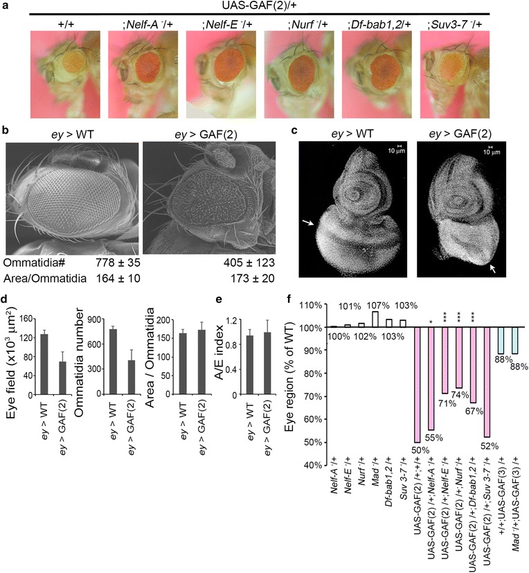 Fig. 6