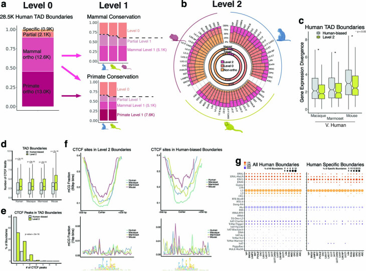 Extended Data Fig. 6