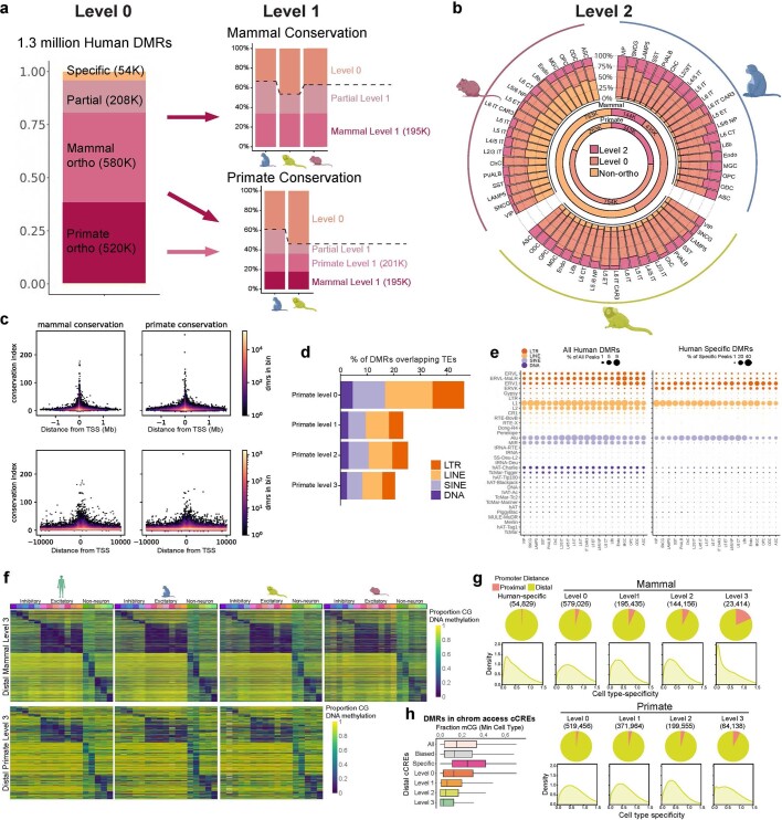 Extended Data Fig. 5