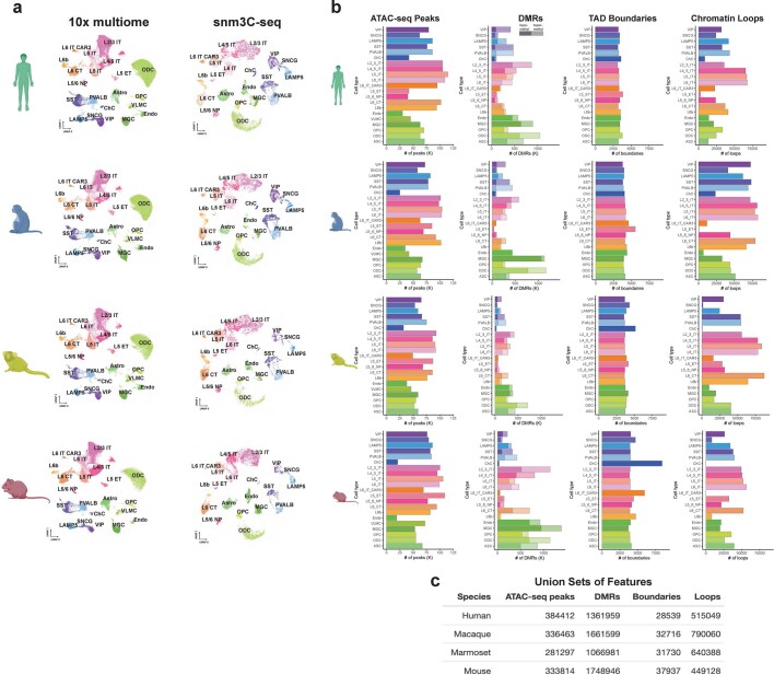 Extended Data Fig. 1