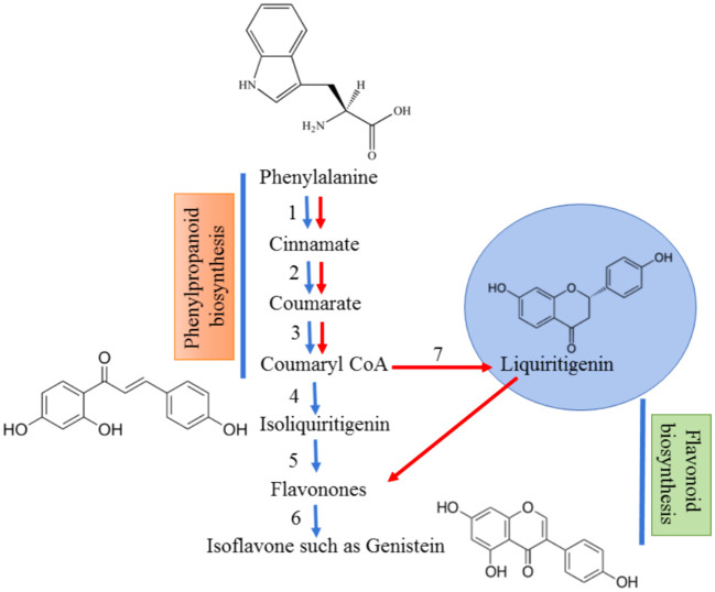 Figure 1