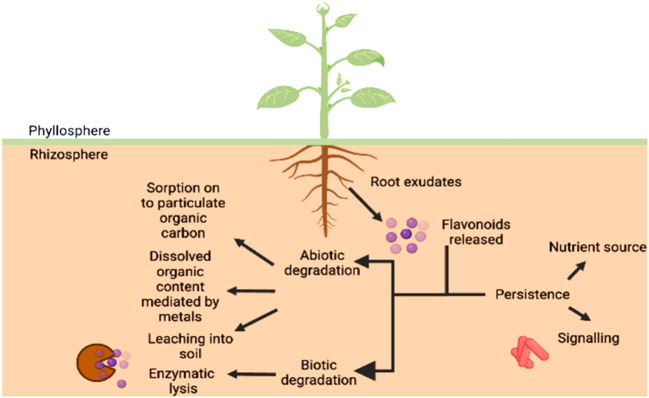 Figure 6