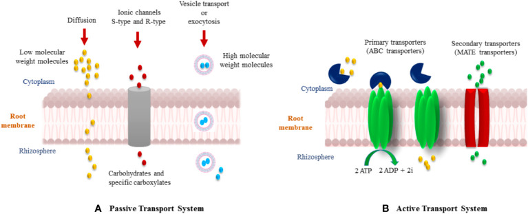 Figure 5