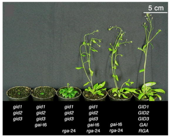 Figure 18.