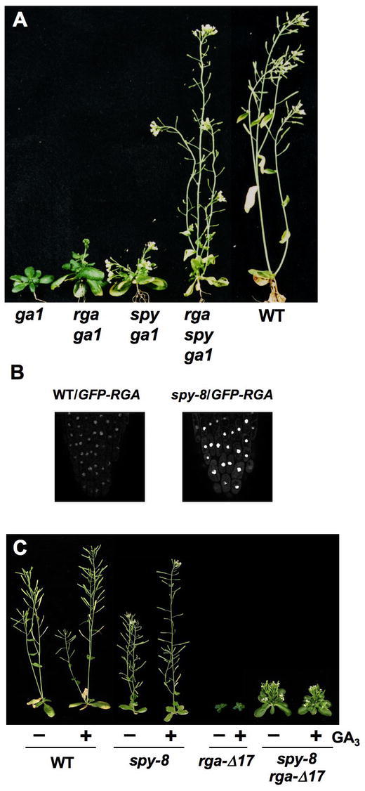 Figure 14.