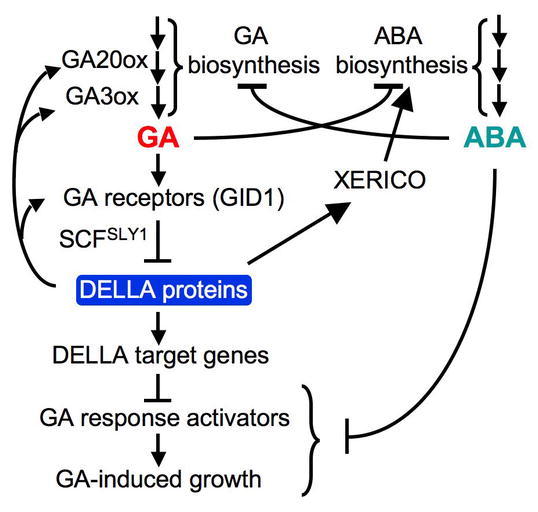 Figure 23.