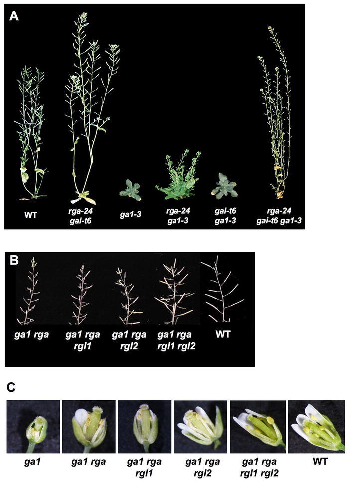 Figure 15.