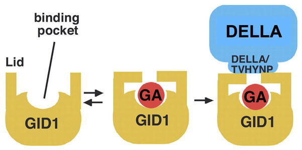 Figure 19.