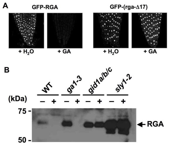 Figure 16.