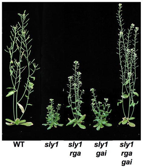 Figure 13.