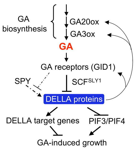 Figure 21.