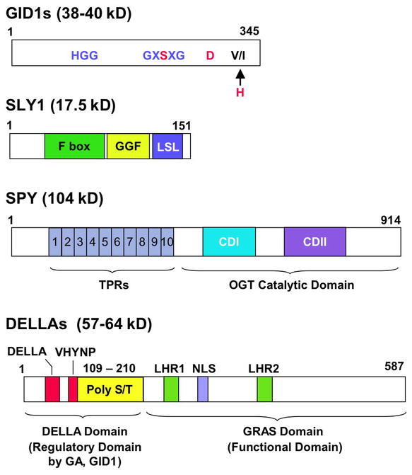 Figure 11.