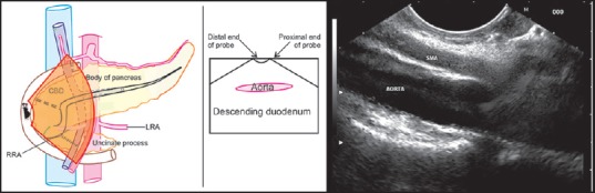 Figure 28