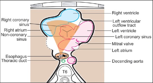 Figure 2a