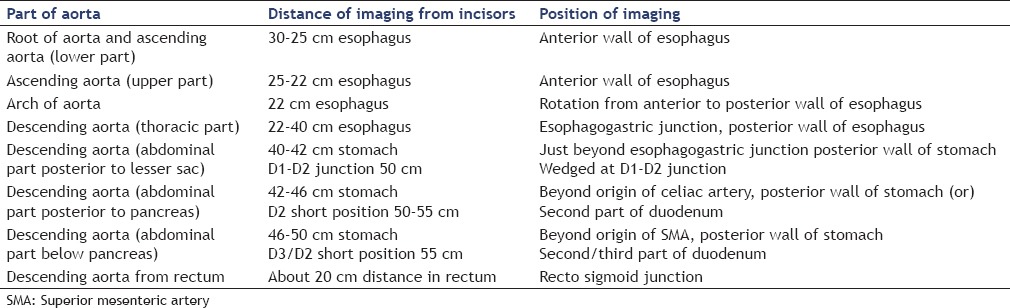 graphic file with name EUS-4-98-g001.jpg