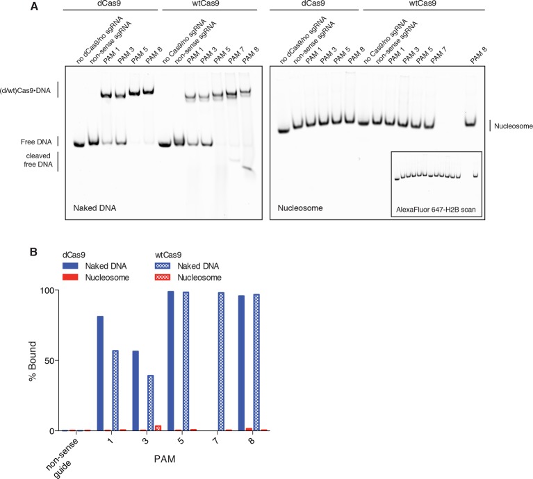 Figure 4—figure supplement 2.