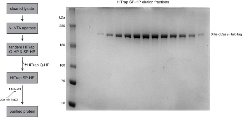 Figure 4—figure supplement 3.