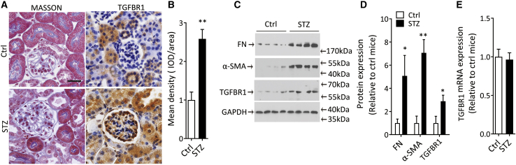 Figure 1