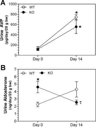 Fig. 3.