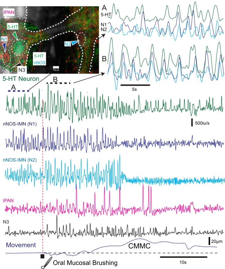 Fig. 3.