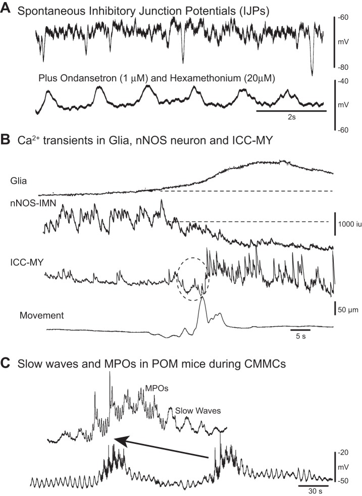 Fig. 4.