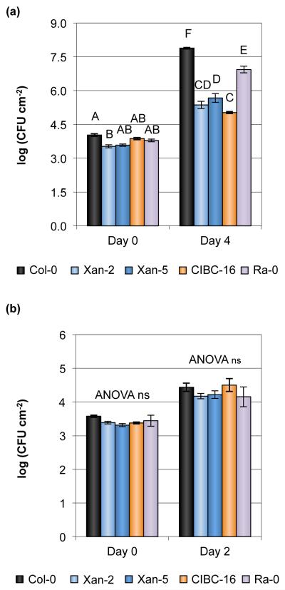 Fig. 4