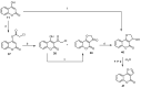 Scheme 13