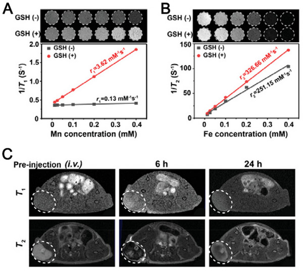 FIGURE 15