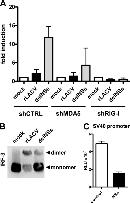 FIGURE 1.