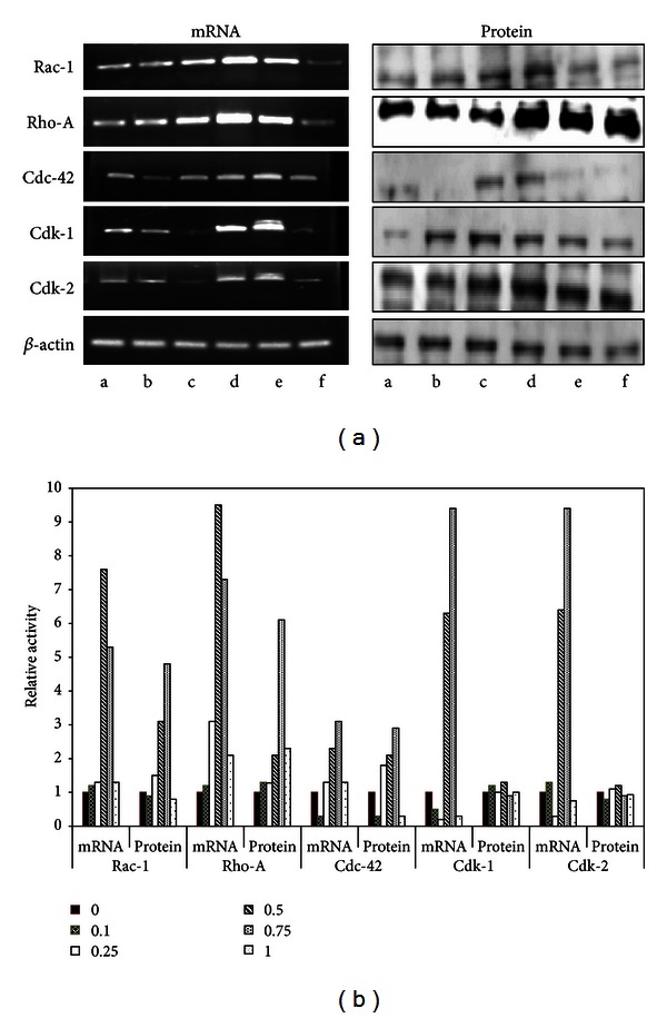 Figure 5