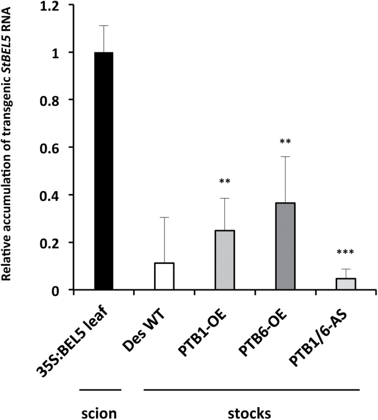 Fig. 8.