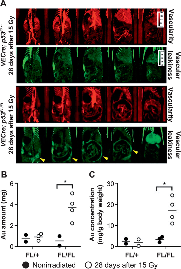 FIG. 4.