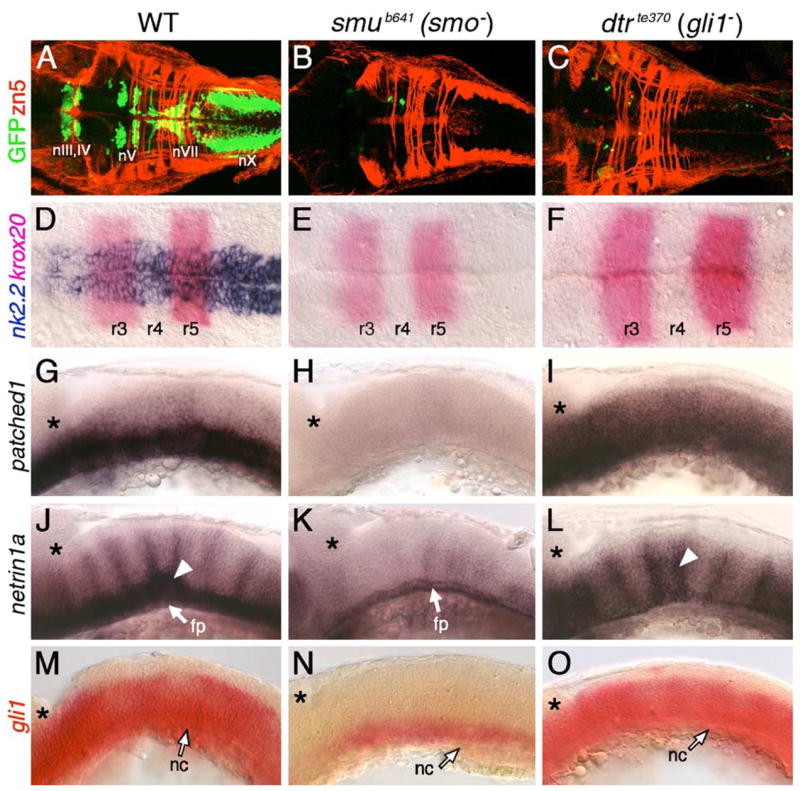 Fig. 4