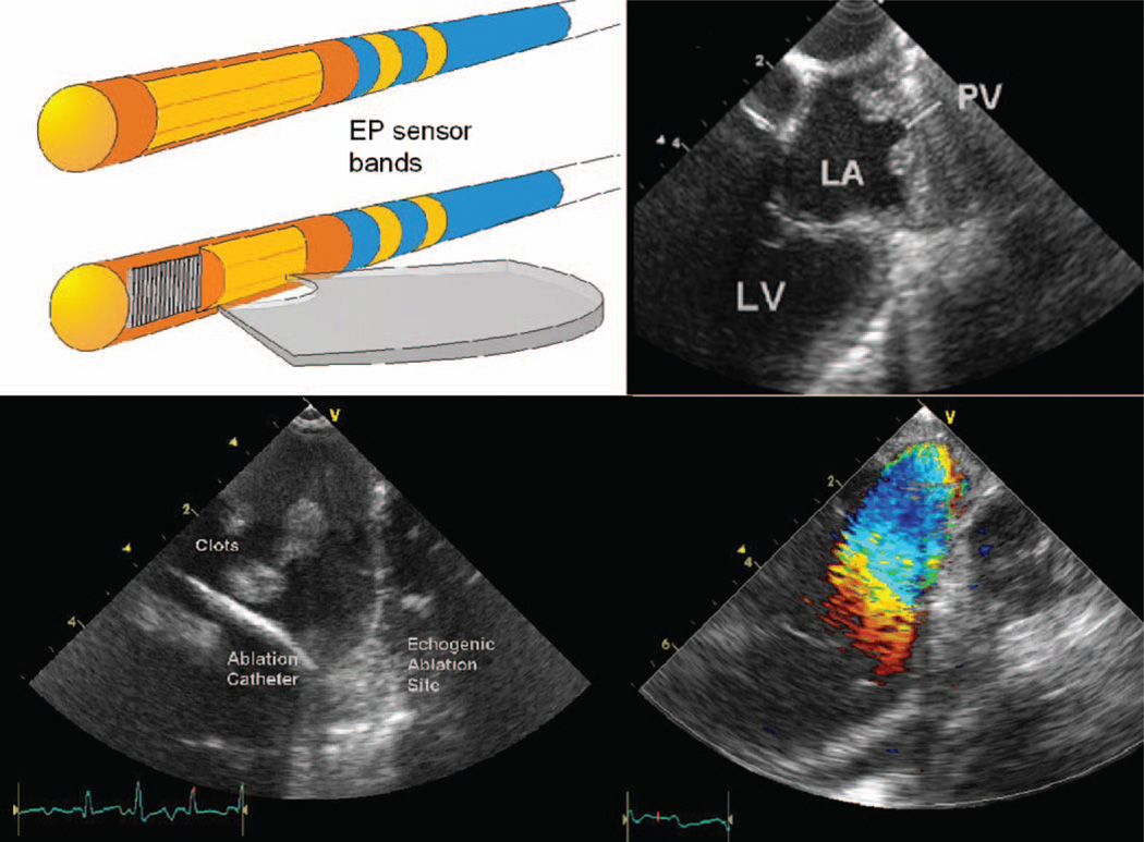 Fig. 4