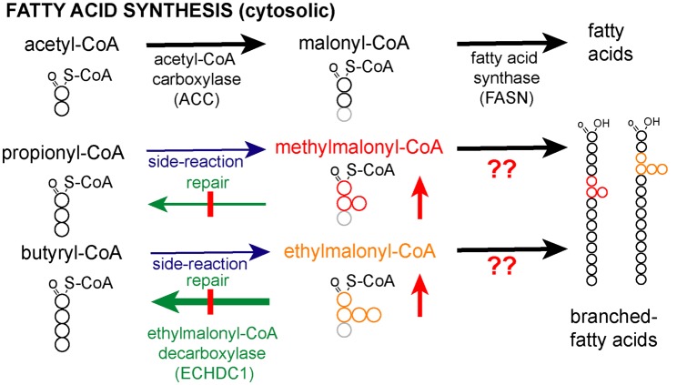 Figure 1.