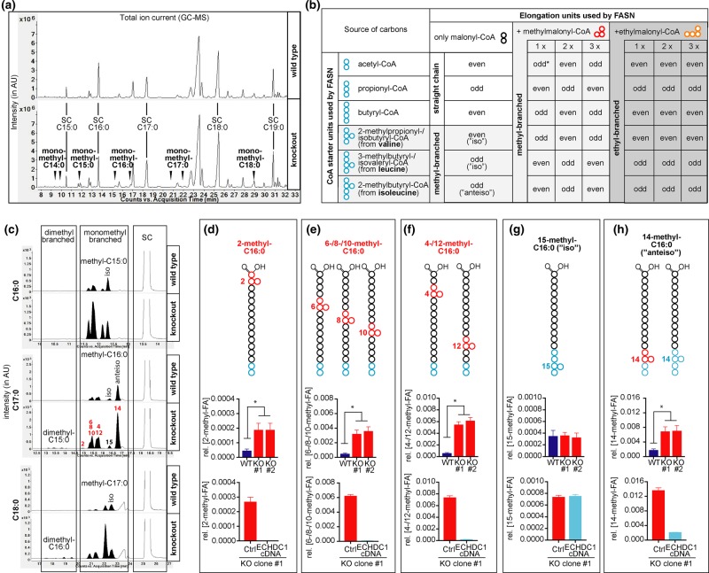 Figure 3.