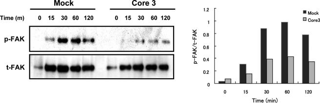 FIGURE 11.