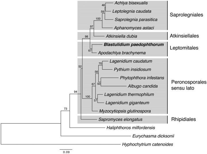 FIG 3