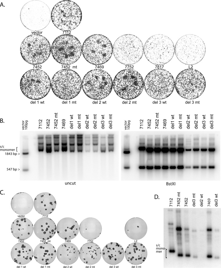 FIG 5 