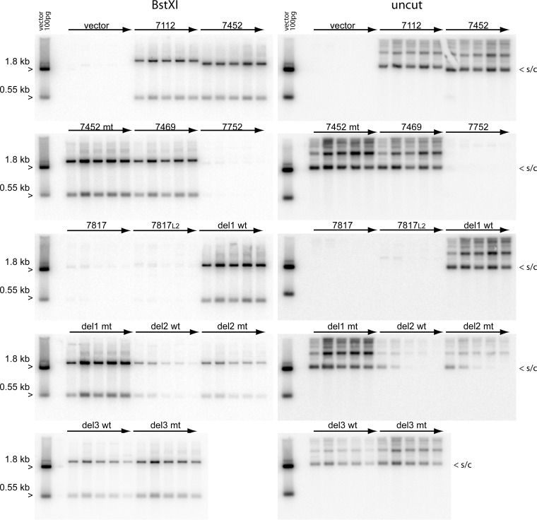 FIG 6 