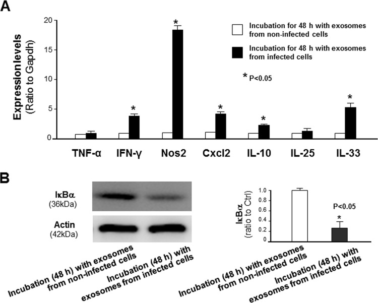 FIG 4