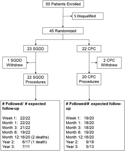 FIGURE 1