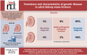 Graphical Abstract