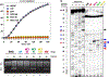 Figure 2 |