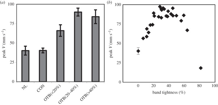 Figure 4.