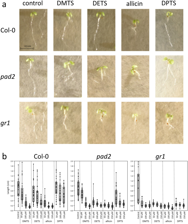 Figure 14